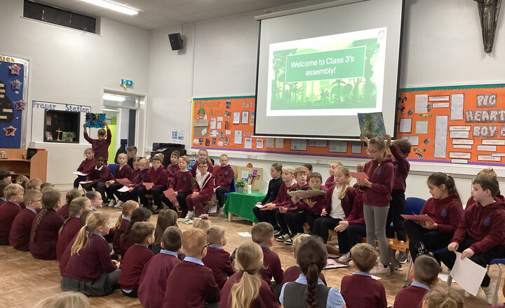Rainforest Assembly